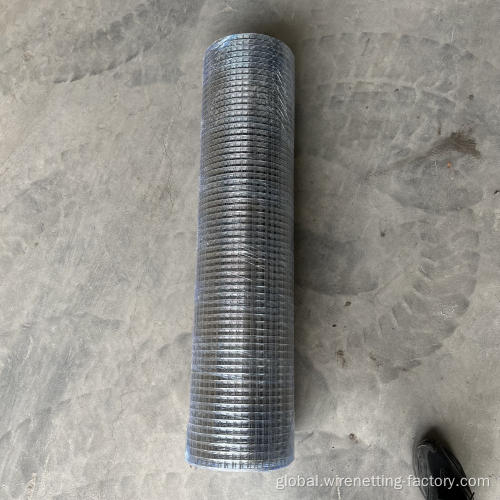 Electro Galvanized Welded Wire Mesh Factory price 1x1 galvanized welded wire mesh rolls Manufactory